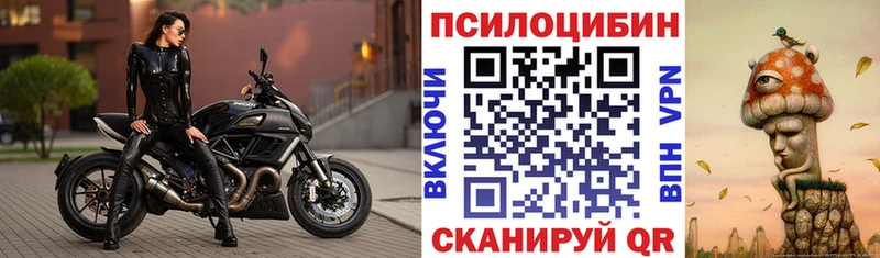 наркошоп  Всеволожск  Галлюциногенные грибы Psilocybe 