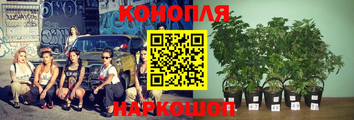 Каннабис Bruce Banner  Бошки марихуана Ganja  Вход с VPN  Всеволожск 